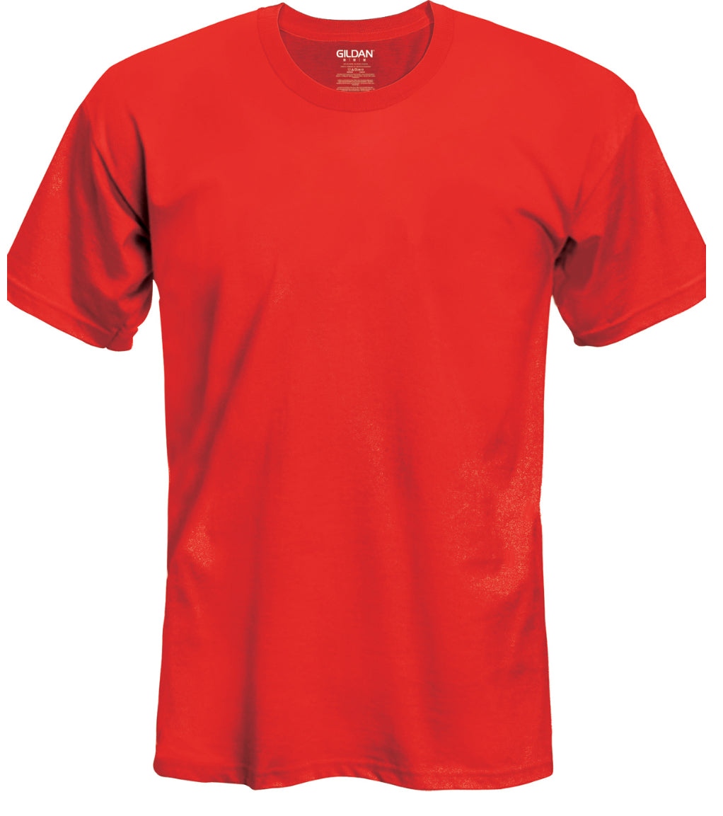 Locs with description shirt