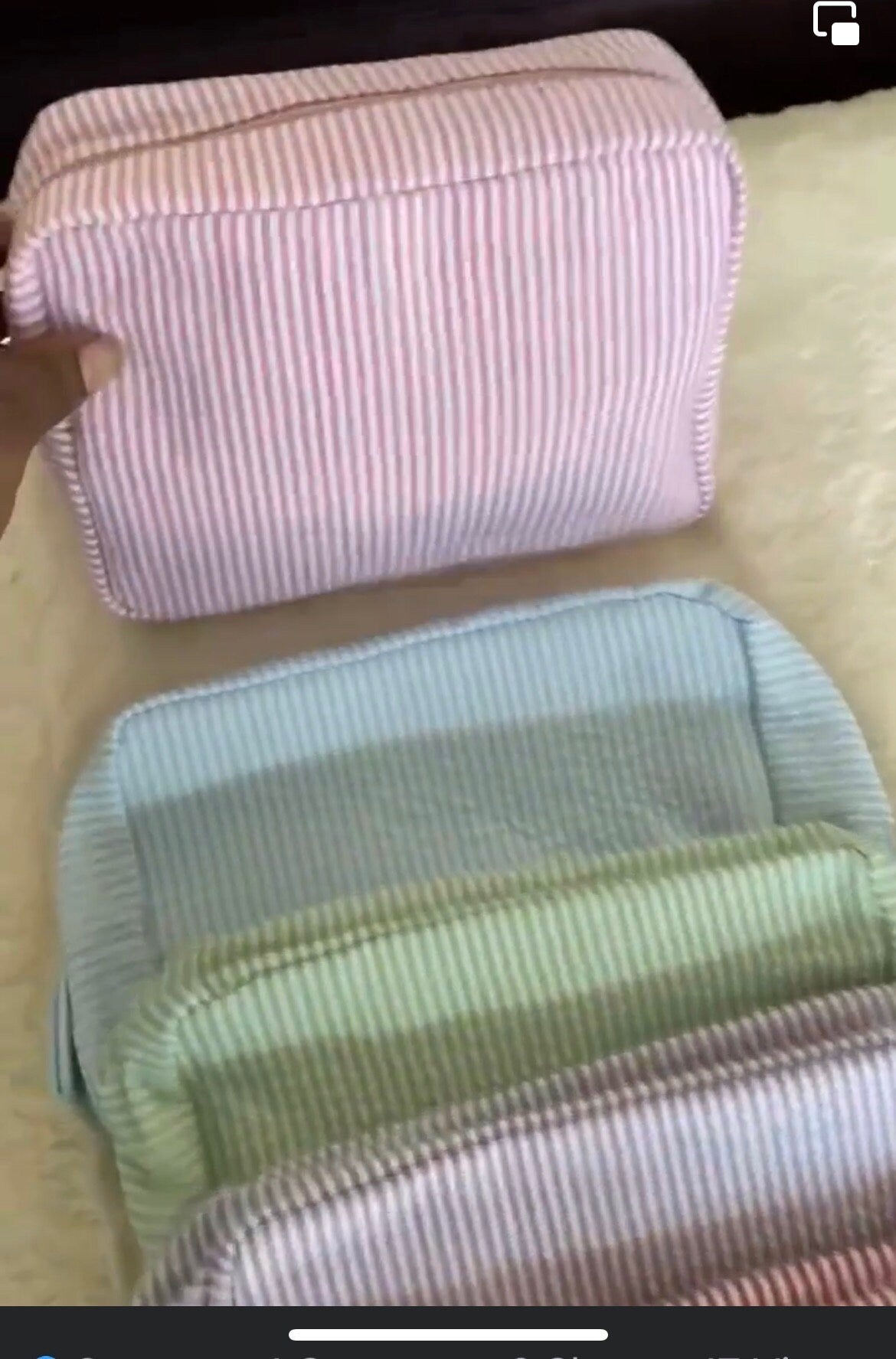 Embroidered Cosmetic/Travel bag