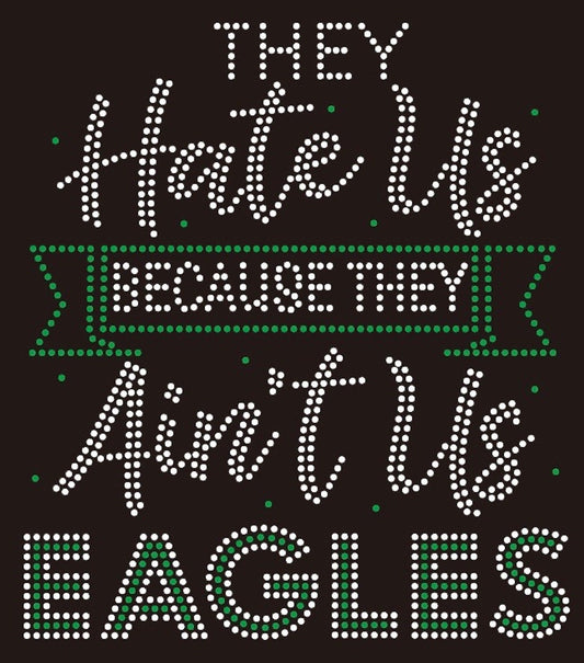 They hate us because shirt
