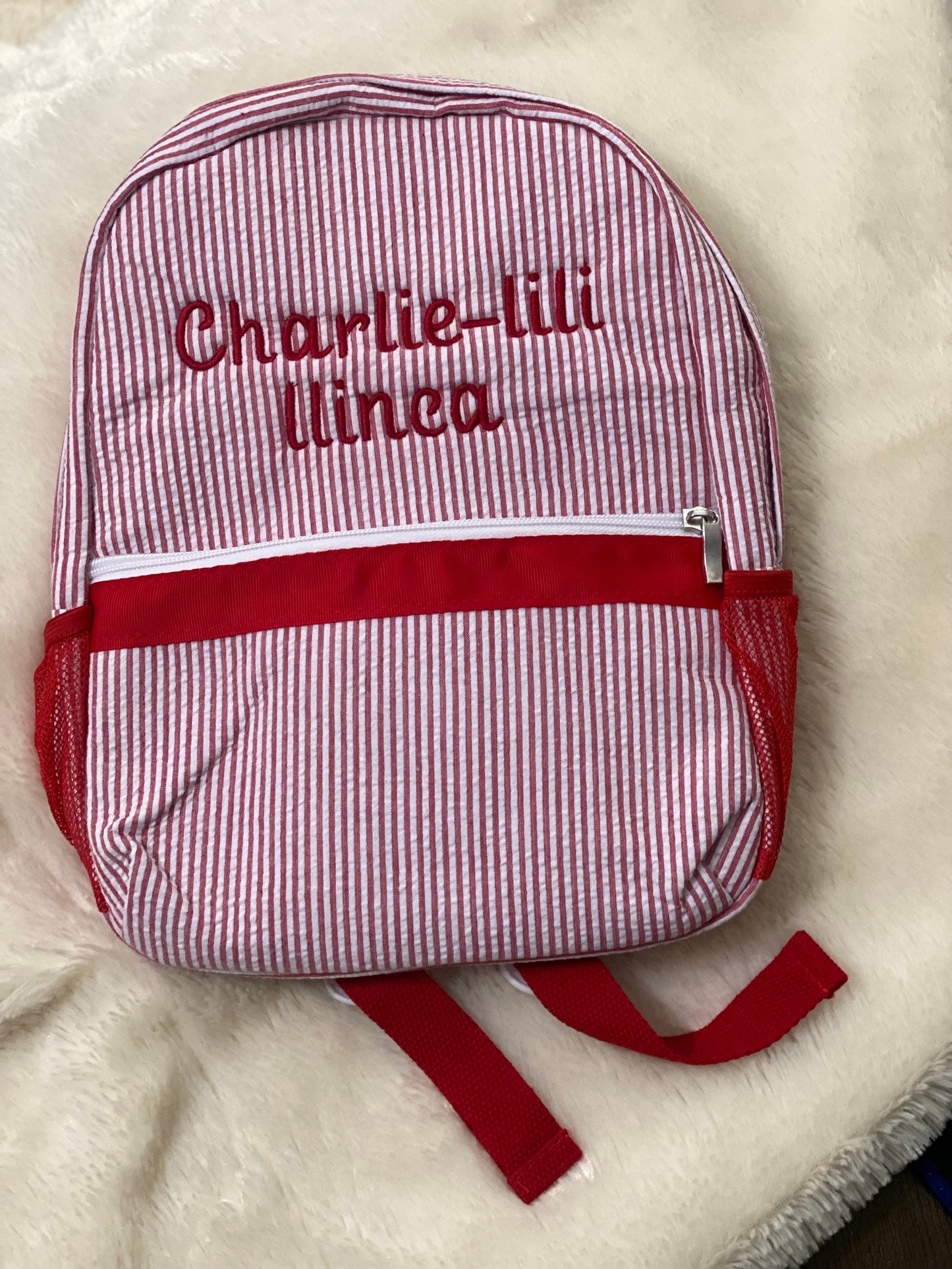 Embroidered Seersucker lunchbox