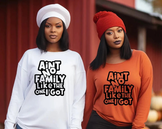 Ain't No Family Like the One I got Shirt
